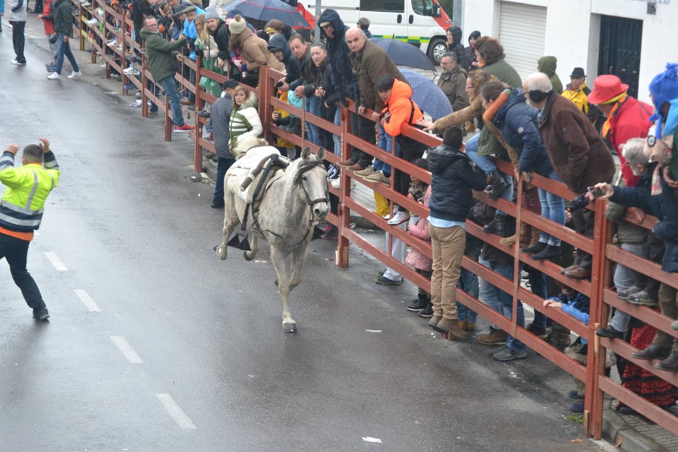 Causan graves destrozos al photocall carnavalero - SALAMANCArtv AL