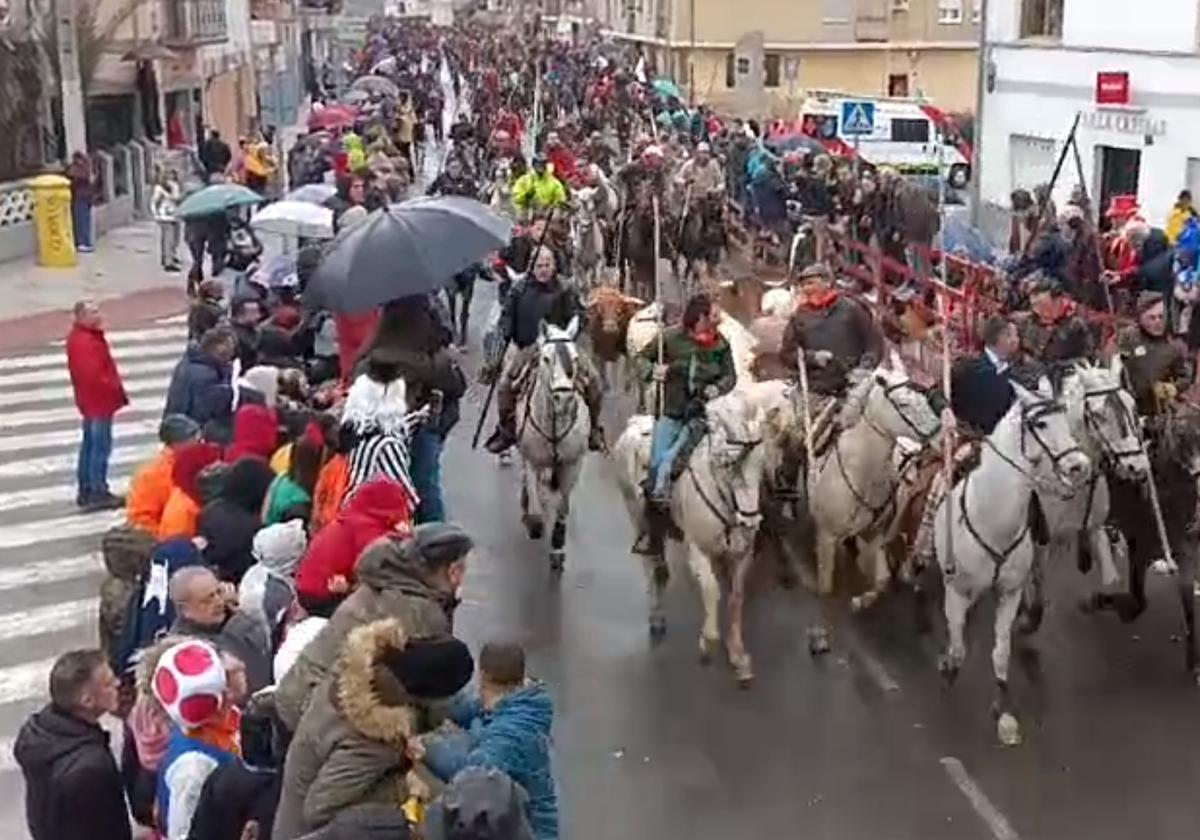 Seis heridos en el encierro mixto de este domingo en Ciudad Rodrigo