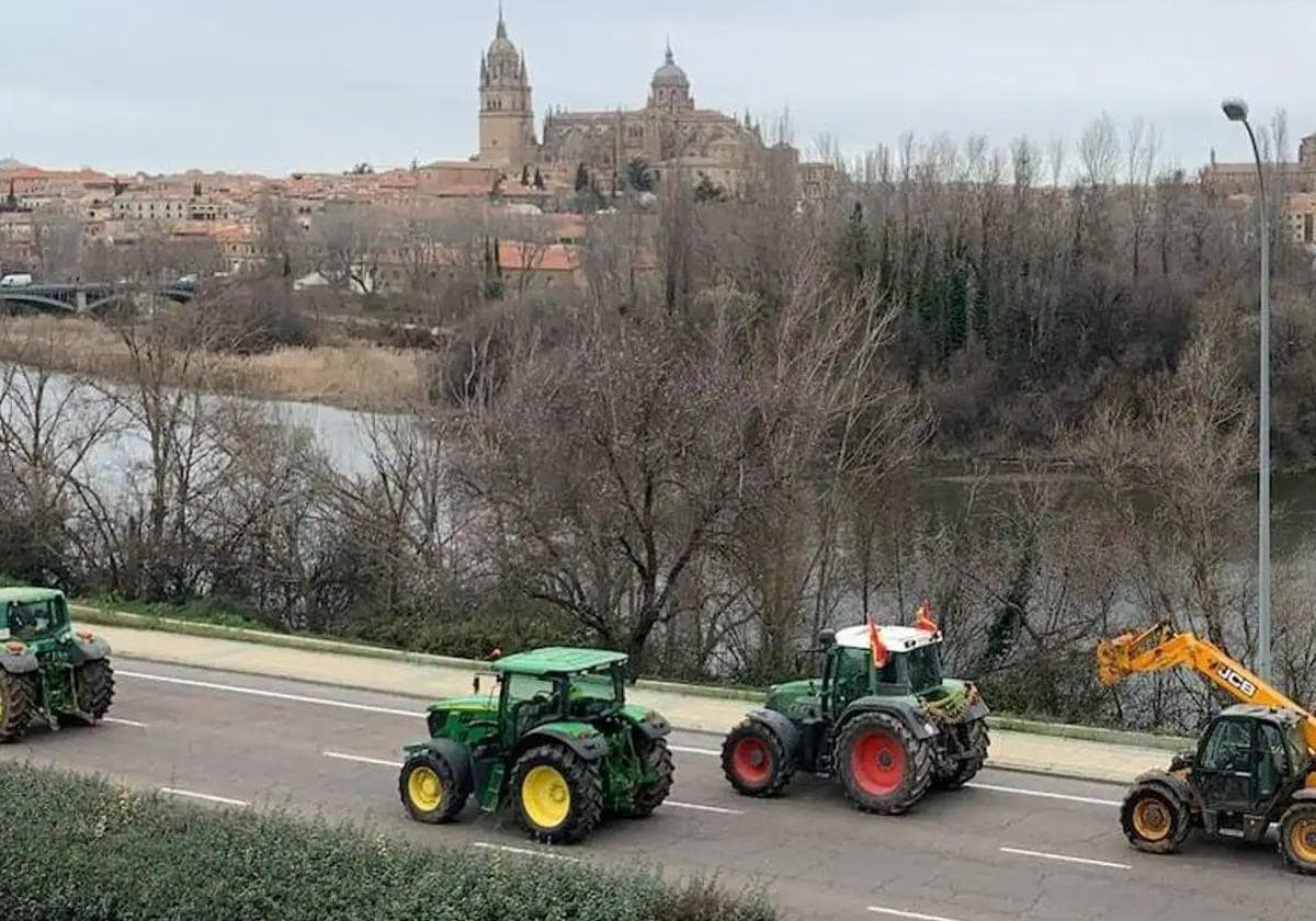 Los ganaderos y agricultores volverán a protestar este miércoles en Salamanca