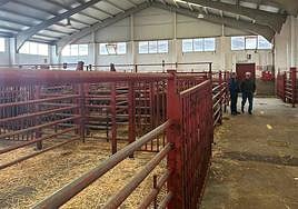 Sin apenas ganado en el mercado