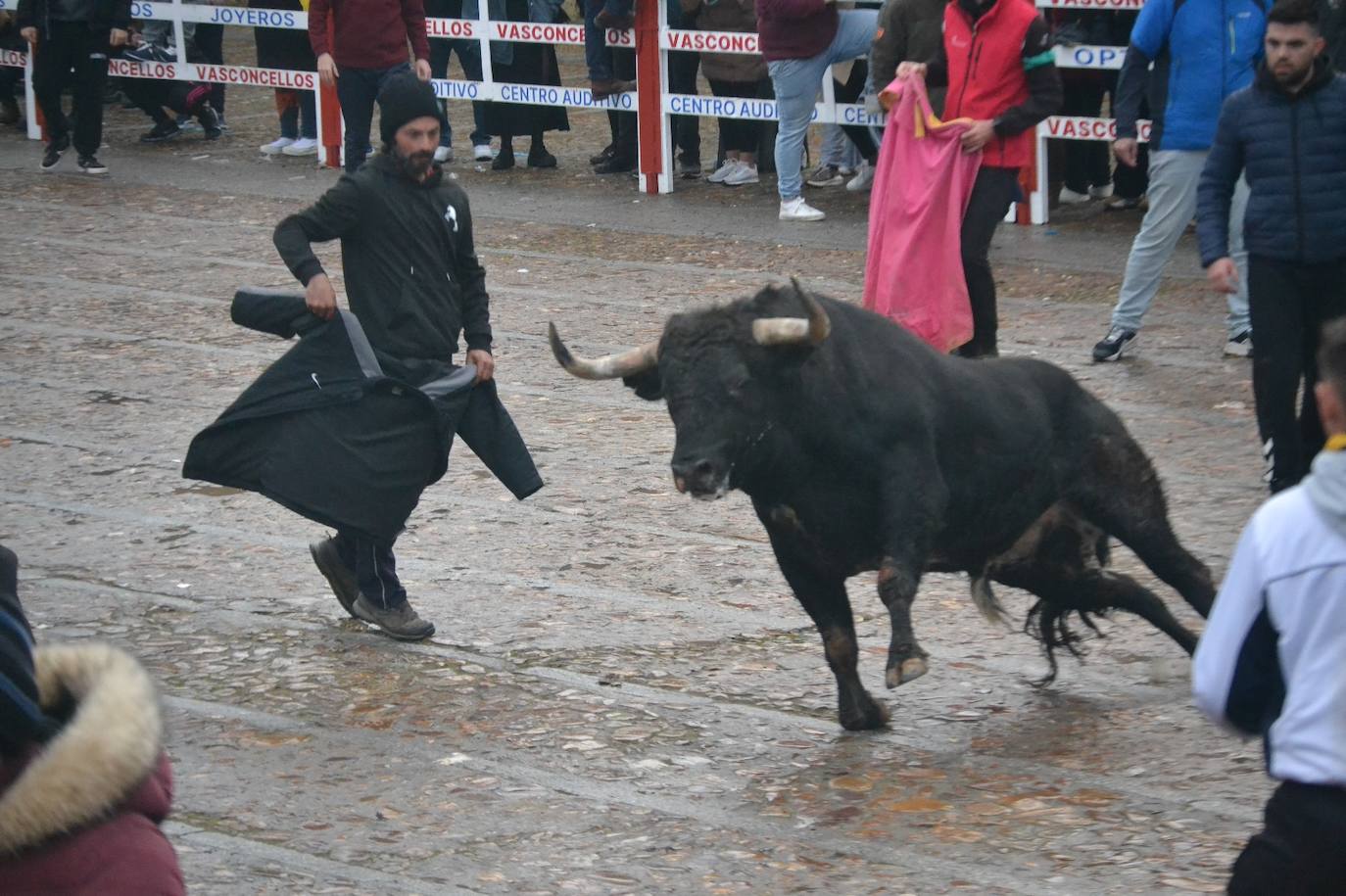 Buen juego del Toro del Aguardiente del Carnaval de Ciudad Rodrigo 2024