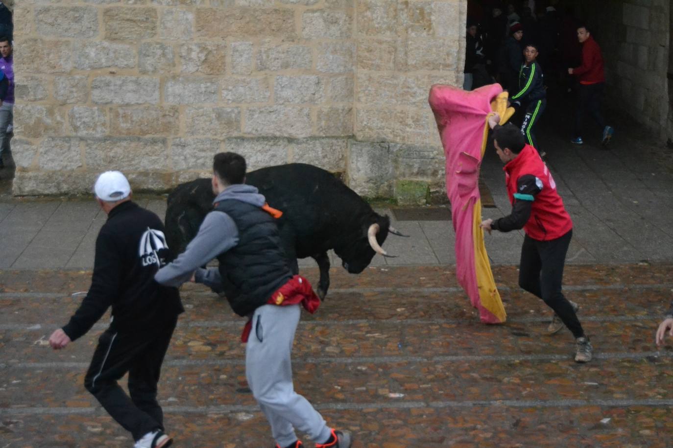 Buen juego del Toro del Aguardiente del Carnaval de Ciudad Rodrigo 2024