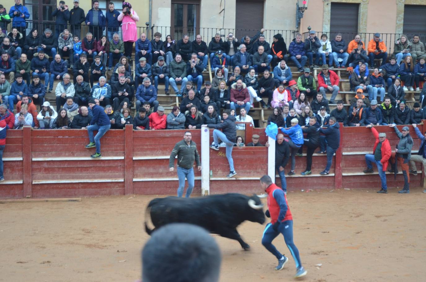 Buen juego del Toro del Aguardiente del Carnaval de Ciudad Rodrigo 2024