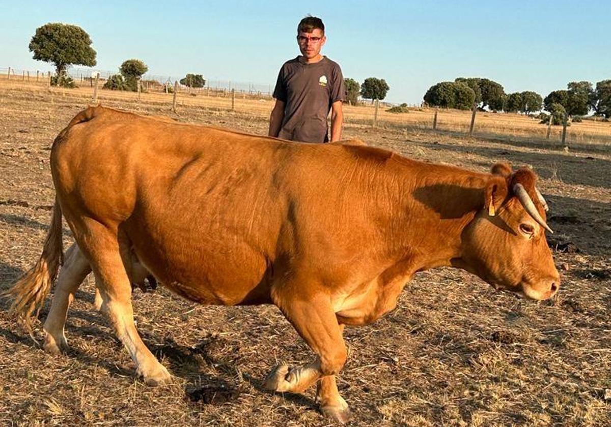 Alberto, el hijo, en Villaseco de los Gamitos.