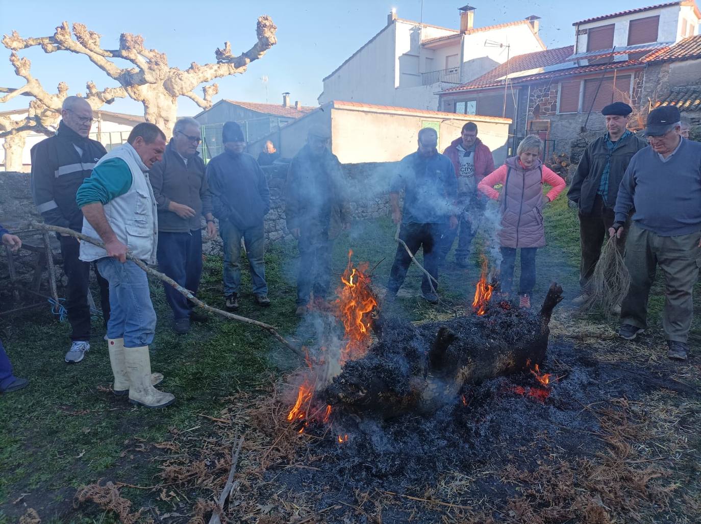 Los vecinos de Horcajo de Montemayor disfrutan de la matanza popular en una animada jornada