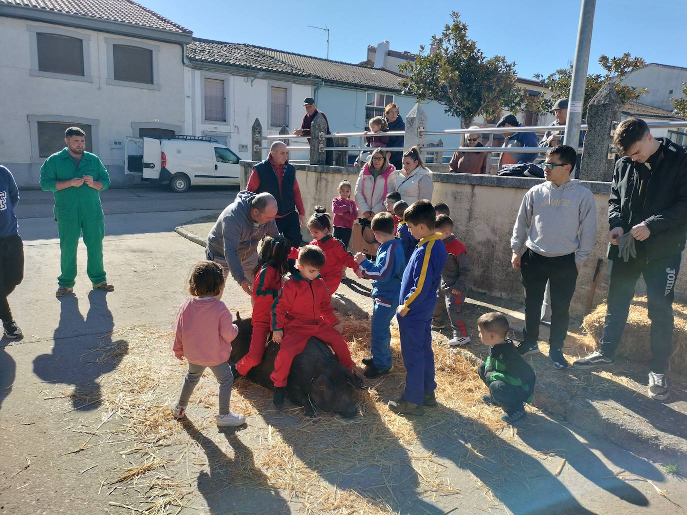 Los niños protagonizan la matanza de Fuenterroble de Salvatierra