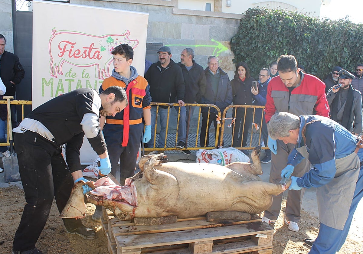 Más de 500 personas participan en la primera matanza celebrada en Cabrerizos