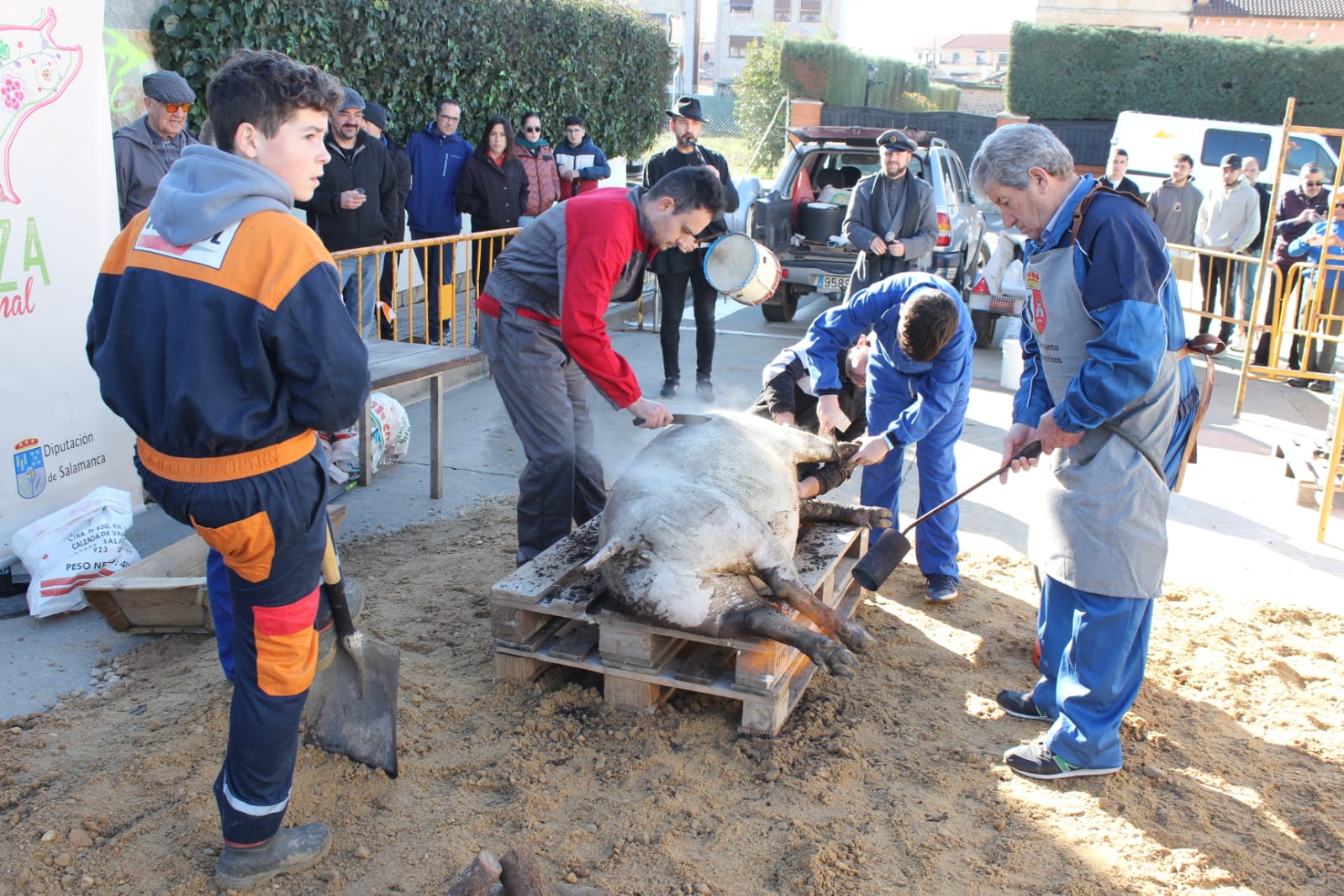 Más de 500 personas participan en la primera matanza celebrada en Cabrerizos