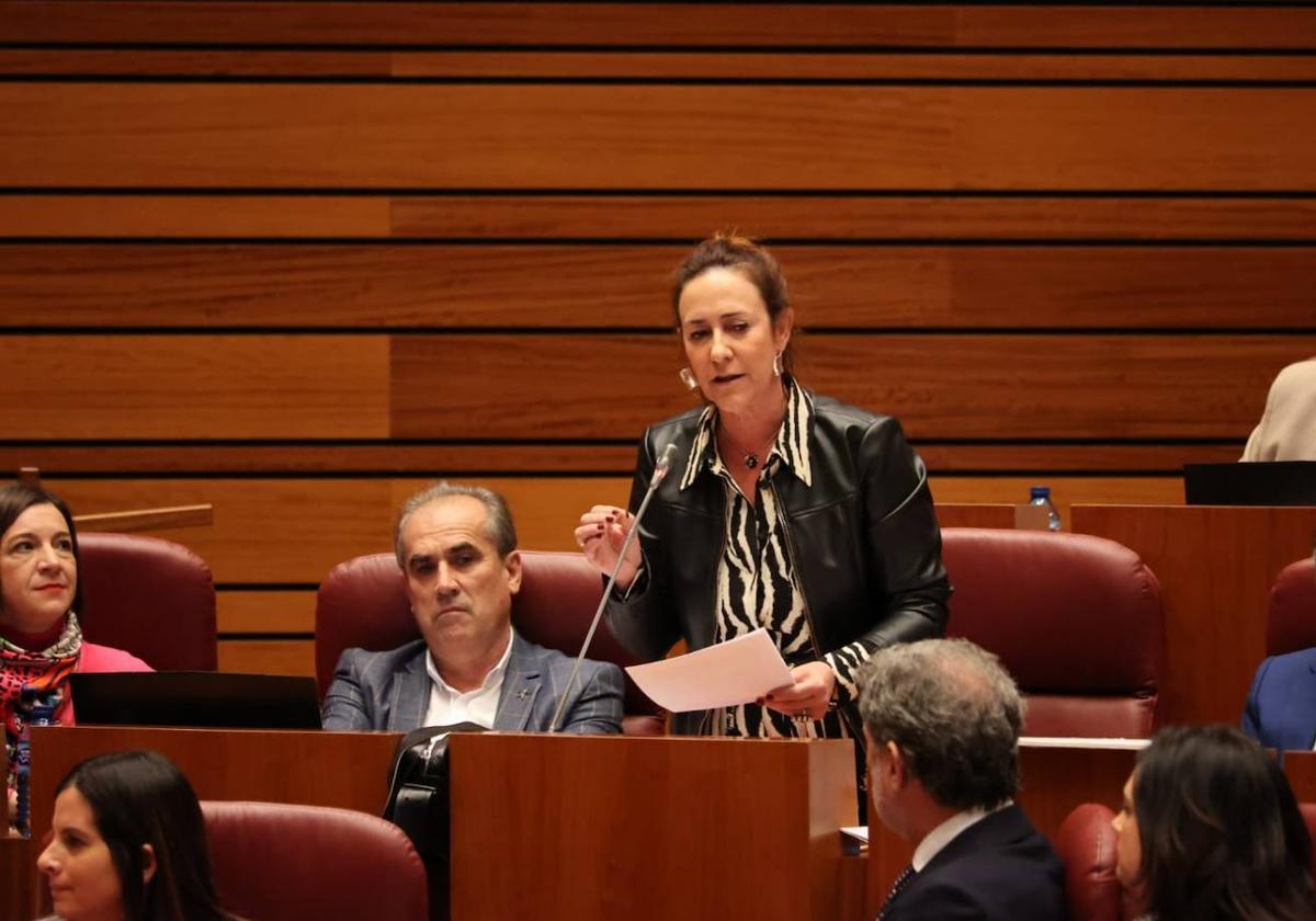 Rosa Rubio, durante una intervención en el Pleno.