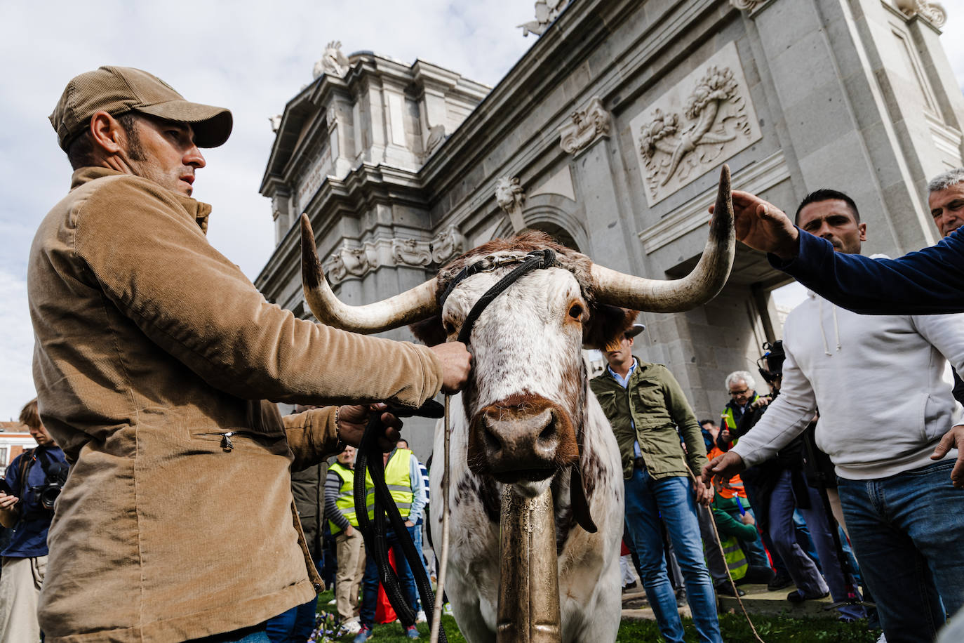 Las protestas del campo en Madrid, en imágenes