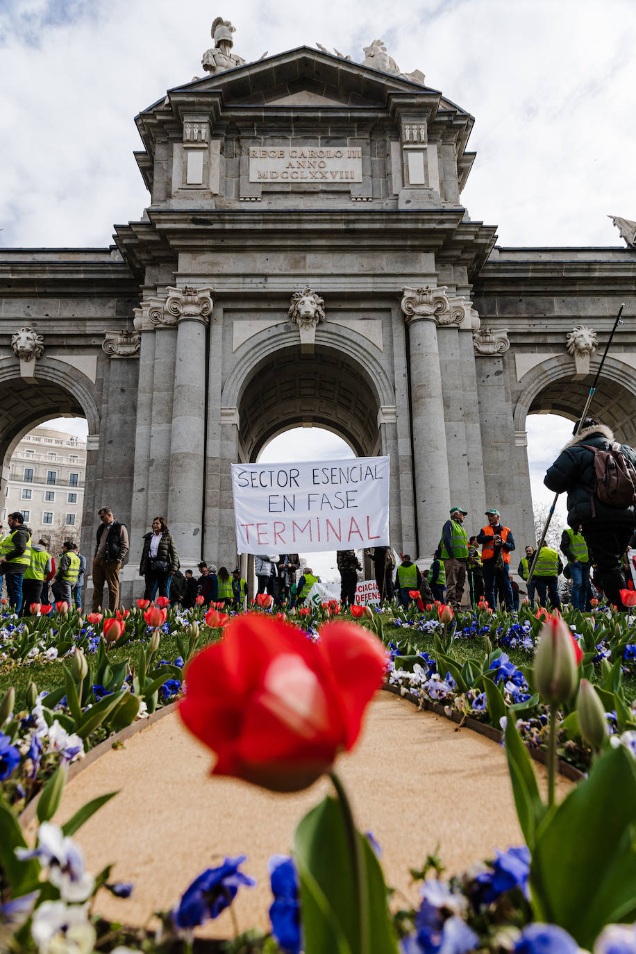 Las protestas del campo en Madrid, en imágenes
