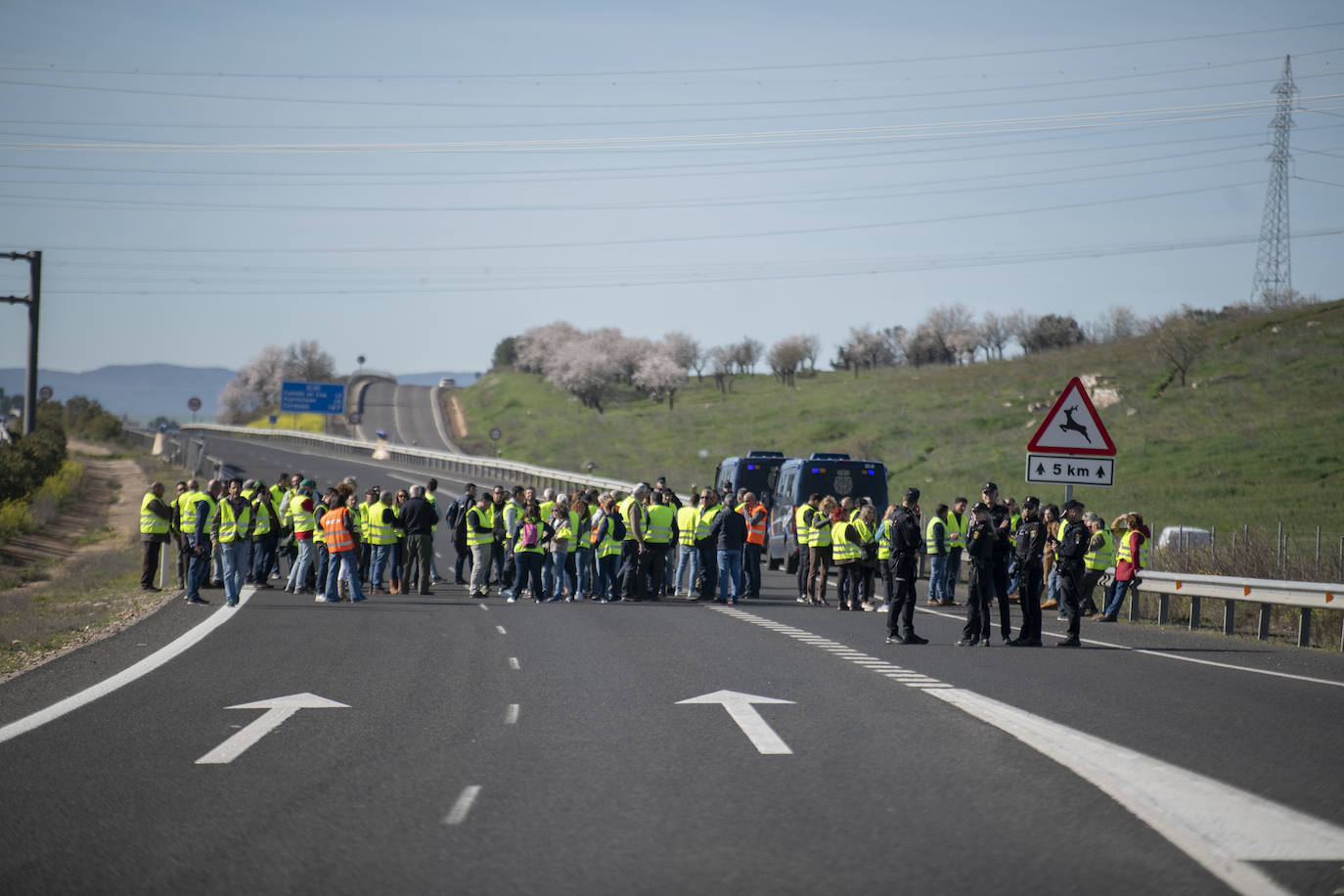 Las protestas del campo en Madrid, en imágenes