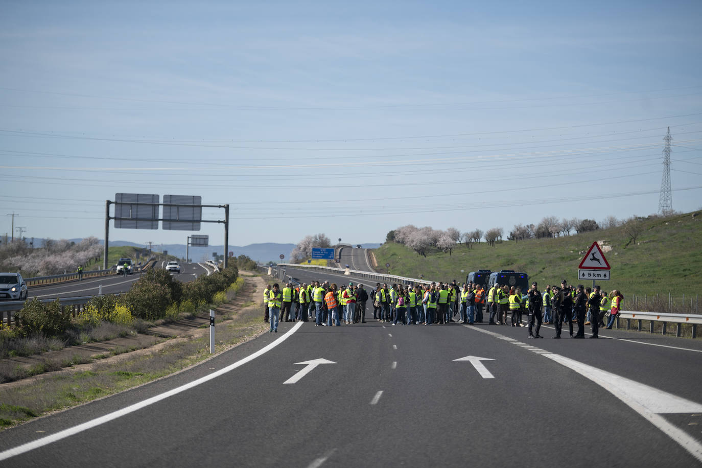 Las protestas del campo en Madrid, en imágenes