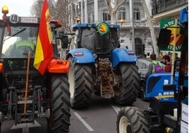 Imagen de la tractorada de ayer en Madrid.