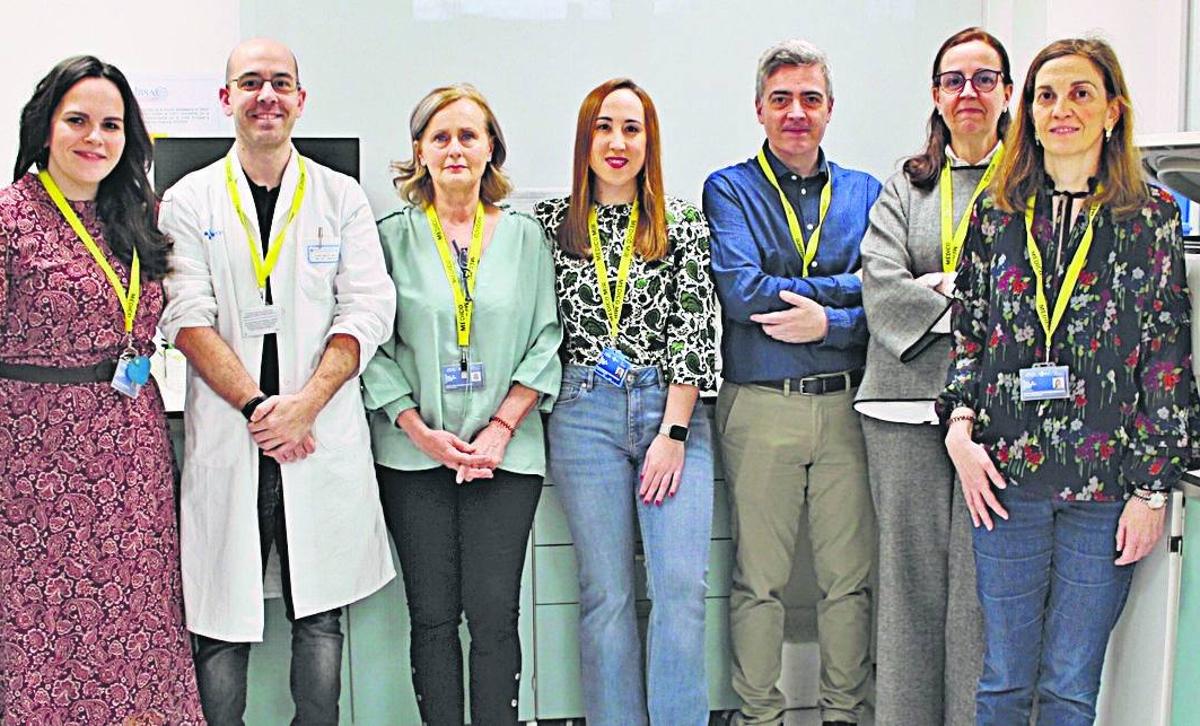 Tatiana Costas Rodríguez, José María Bastida Bermejo, María José Doyague Sánchez, María Cabrero Segurado, José Ramón González Porras, Genoveva Corral de la Cruz y Lourdes Hernández Hernández.