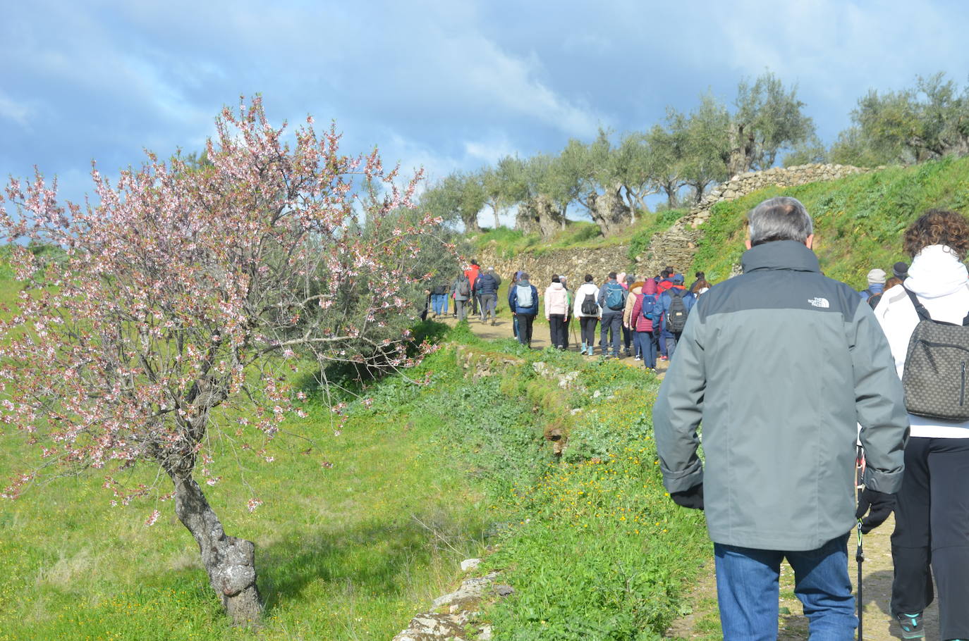 Más de 200 senderistas salen al encuentro de los almendros en flor desde La Fregeneda