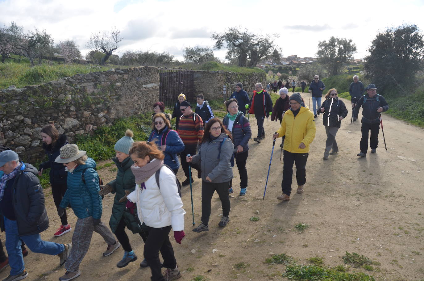 Más de 200 senderistas salen al encuentro de los almendros en flor desde La Fregeneda