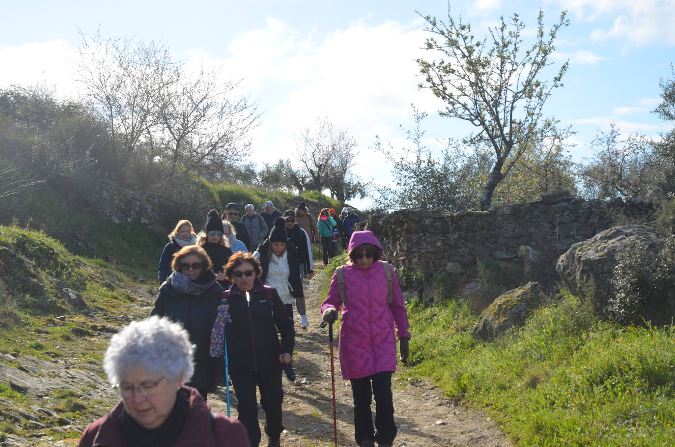 Más de 200 senderistas salen al encuentro de los almendros en flor desde La Fregeneda