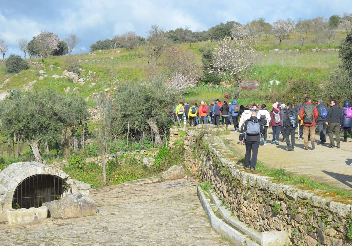 Más de 200 senderistas salen al encuentro de los almendros en flor en La Fregeneda