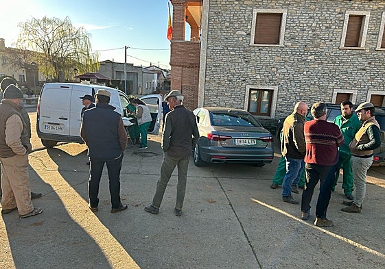 Corte de saneamiento ganadero.