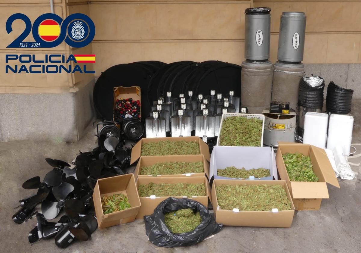 Material intervenido por la Policía en la operación antidroga.