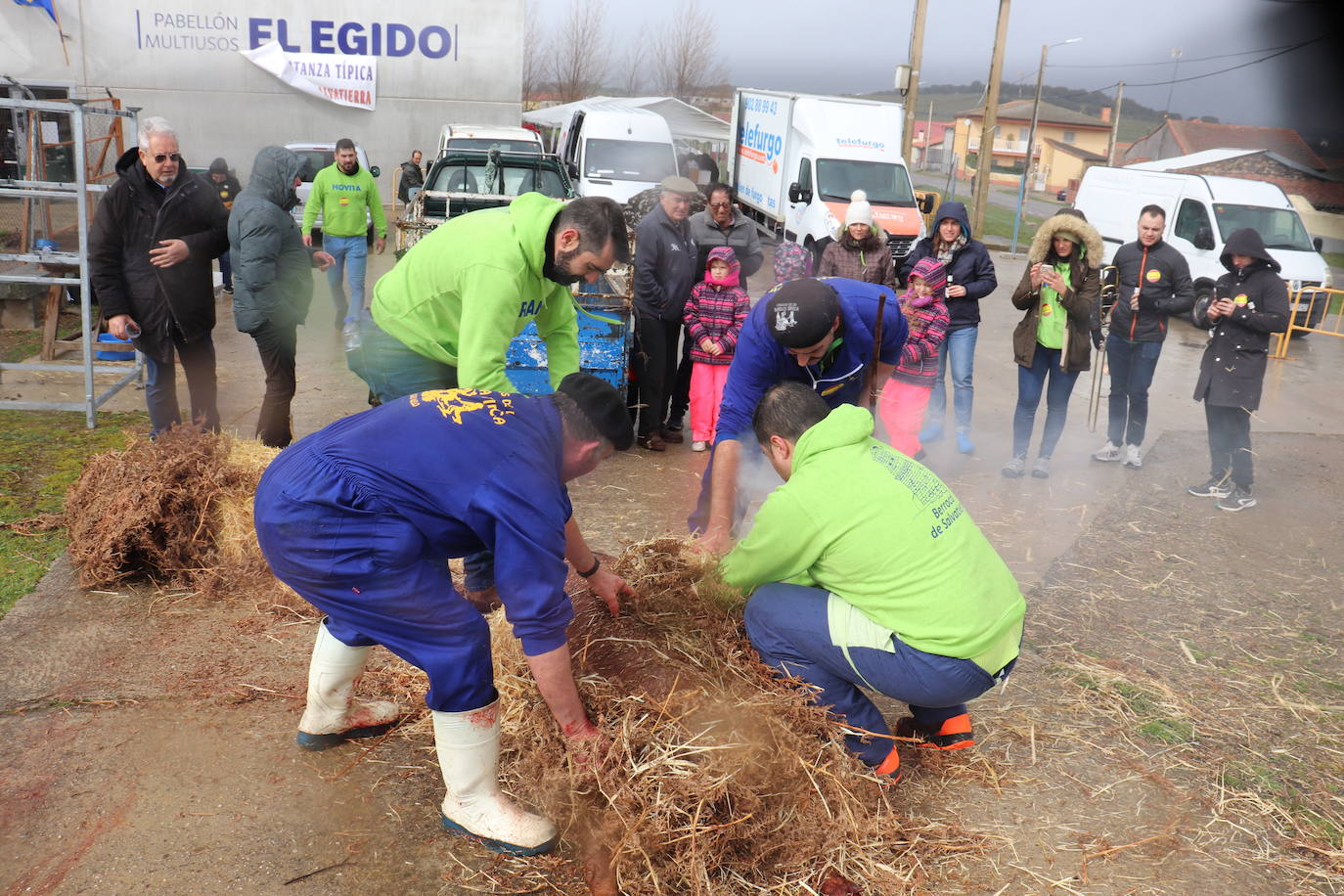 Berrocal de Salvatierra disfruta de su matanza contra viento y marea