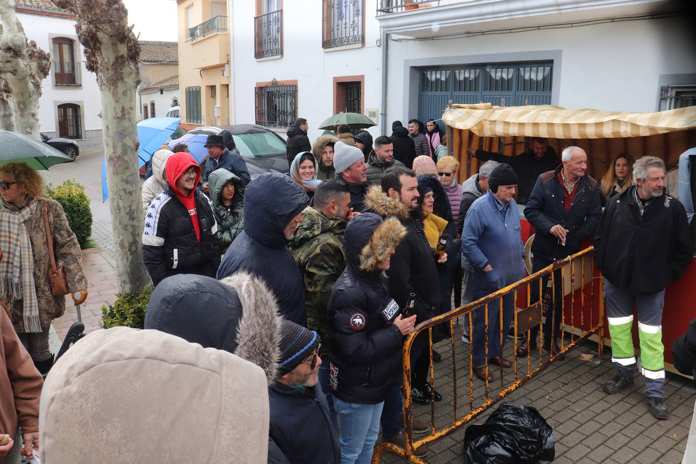 Alegría matancera en Santibáñez de Béjar