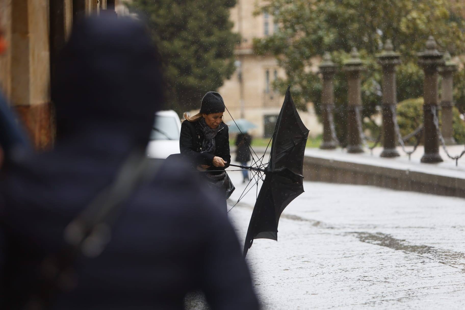 Llega la nieve a una Salamanca en alerta por fuertes vientos