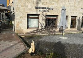 Pierde el control de su vehículo, arranca un árbol y se empotra contra un restaurante de Ciudad Rodrigo