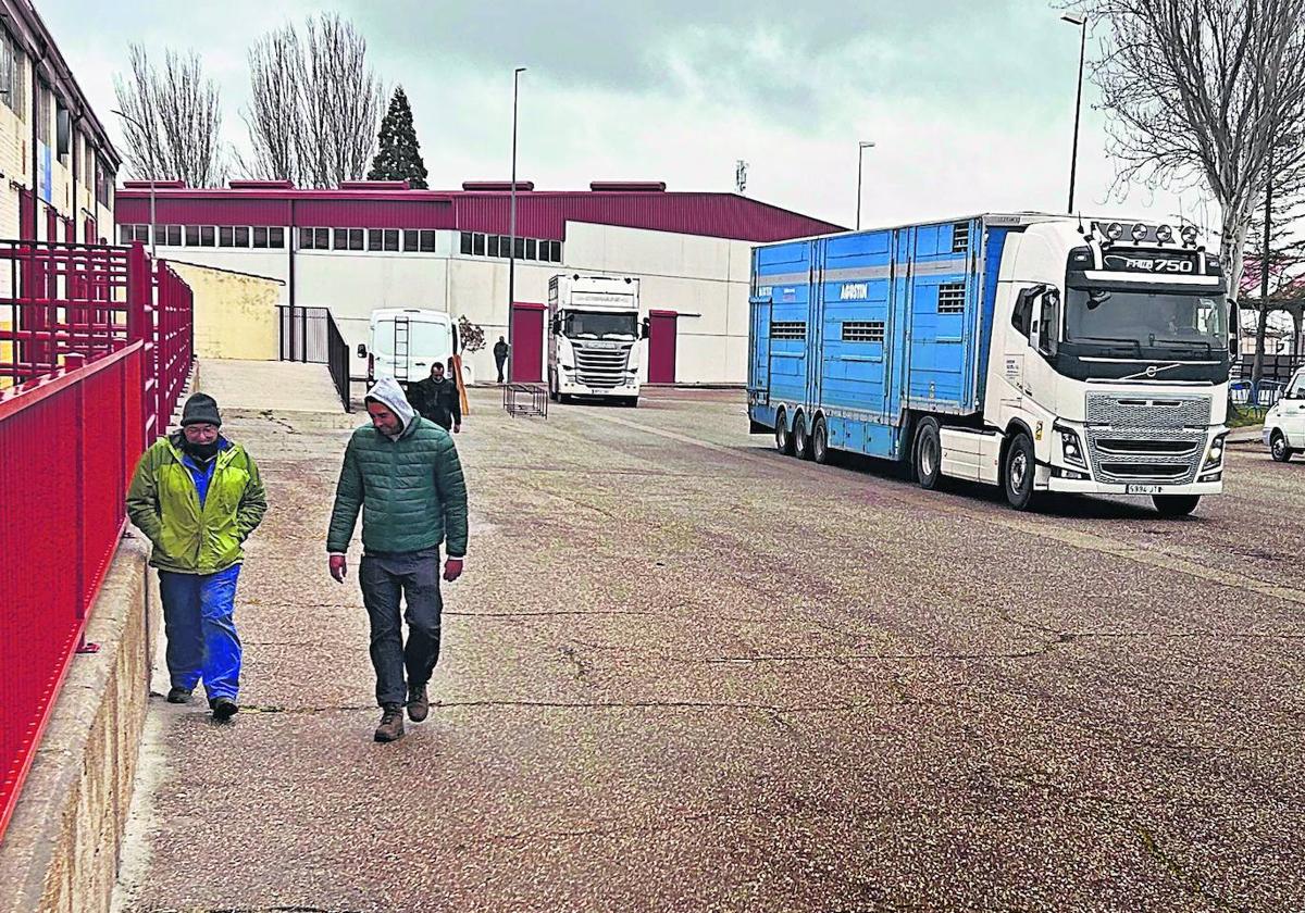 Camiones en el mercado preparados para la carga de ganado.