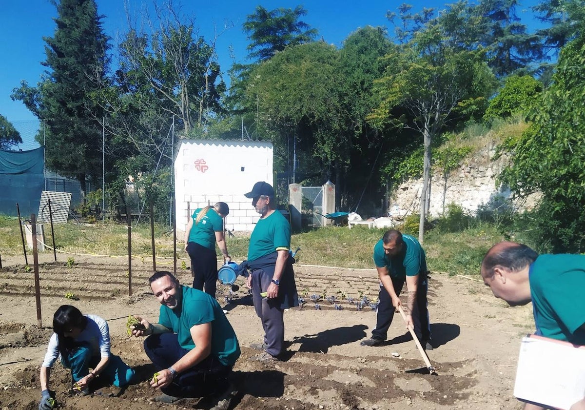 Formación práctica de agricultura