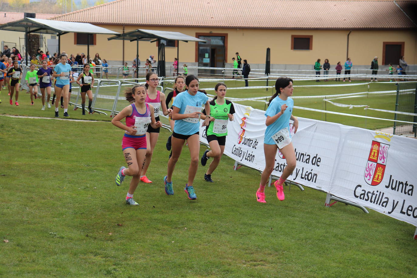 Béjar, epicentro del cross regional con el campeonato escolar y universitario