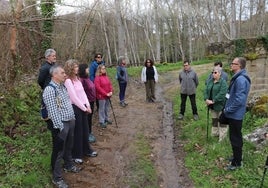 Participantes en el primer baño de bosque celebrado en Montemayor del Río