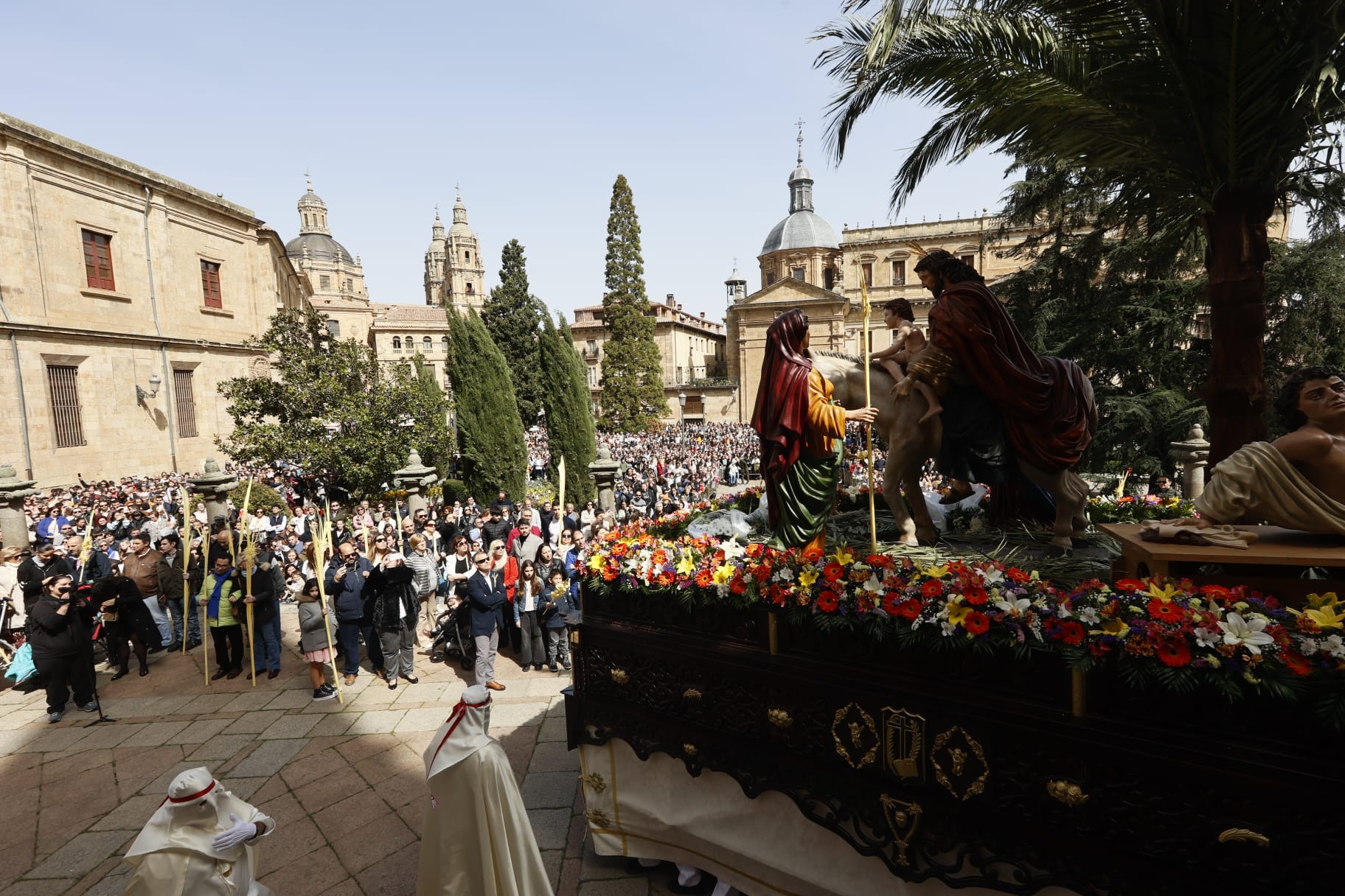 Las mejores imágenes de la procesión de La Borriquilla en Salamanca