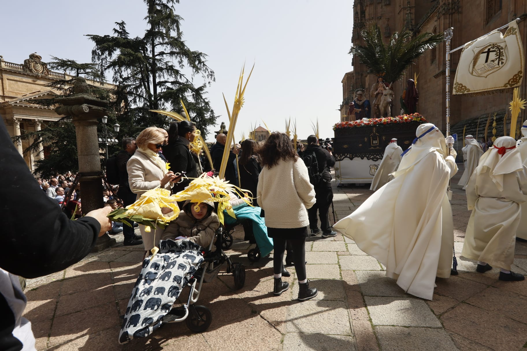 Las mejores imágenes de la procesión de La Borriquilla en Salamanca