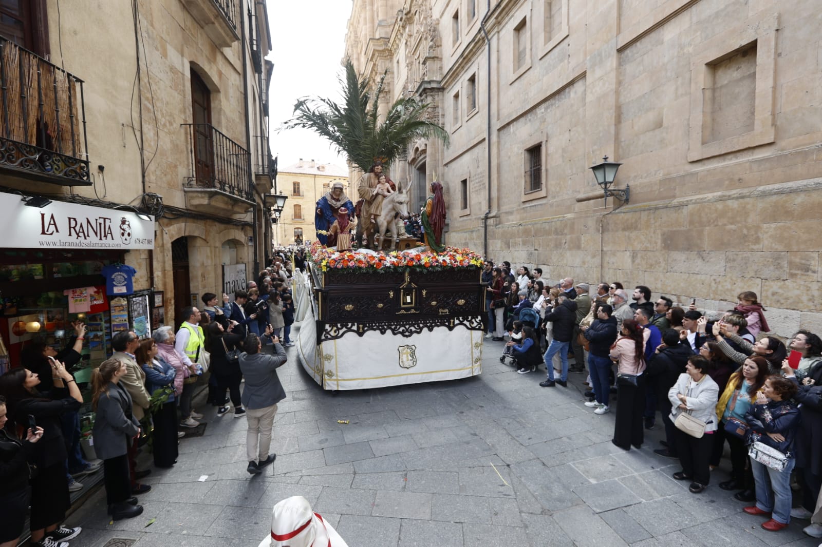 Las mejores imágenes de la procesión de La Borriquilla en Salamanca