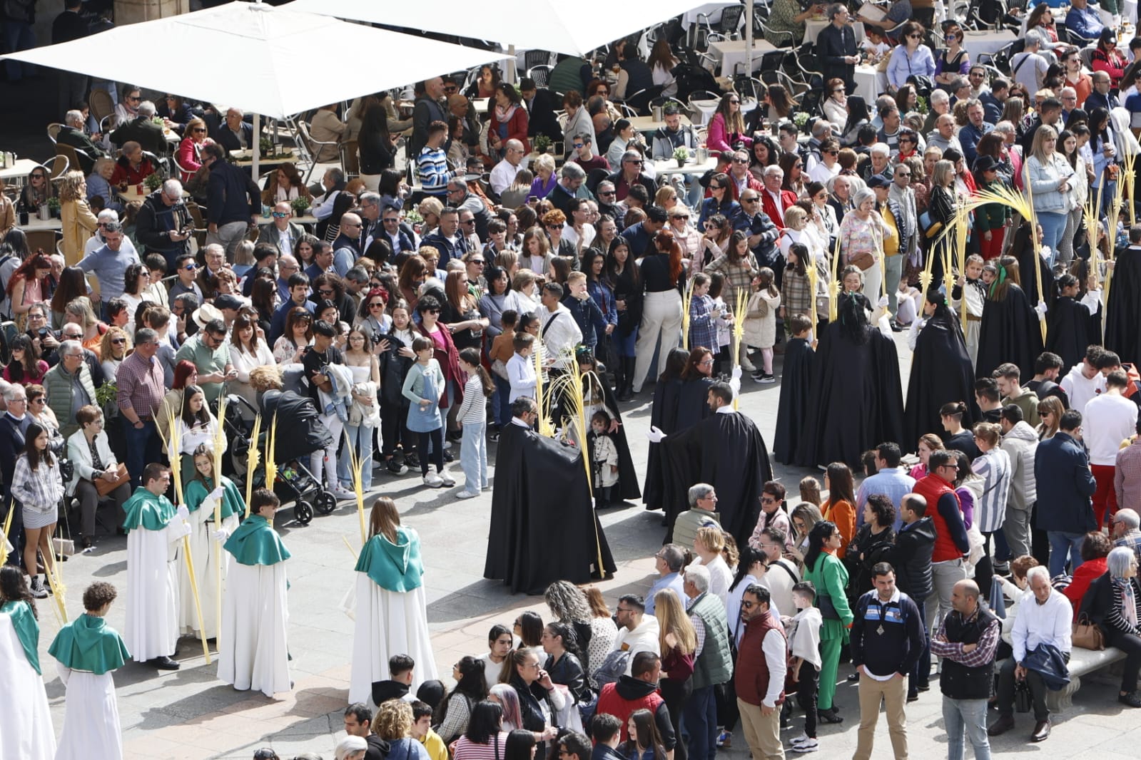 Las mejores imágenes de la procesión de La Borriquilla en Salamanca