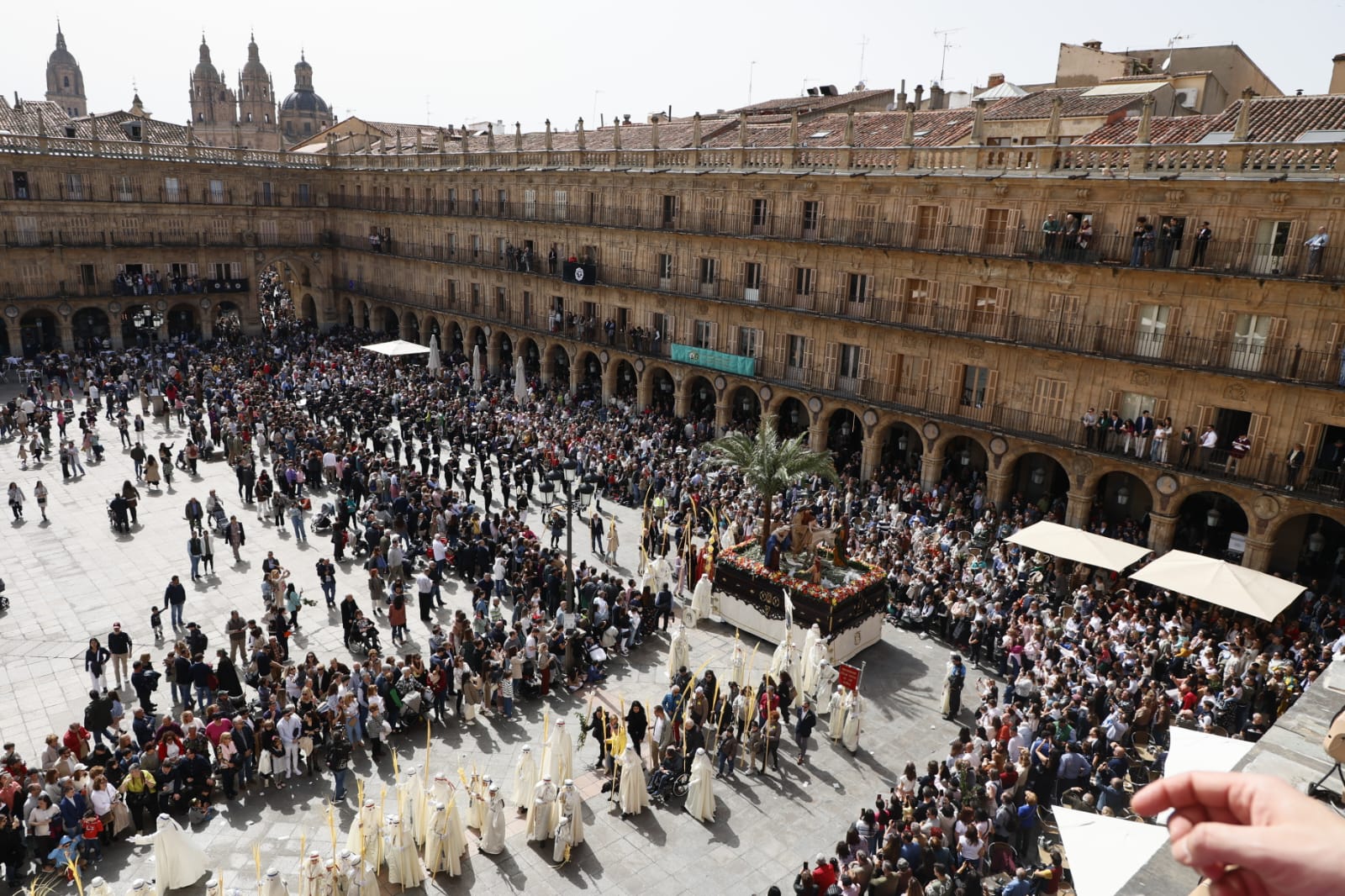 Las mejores imágenes de la procesión de La Borriquilla en Salamanca