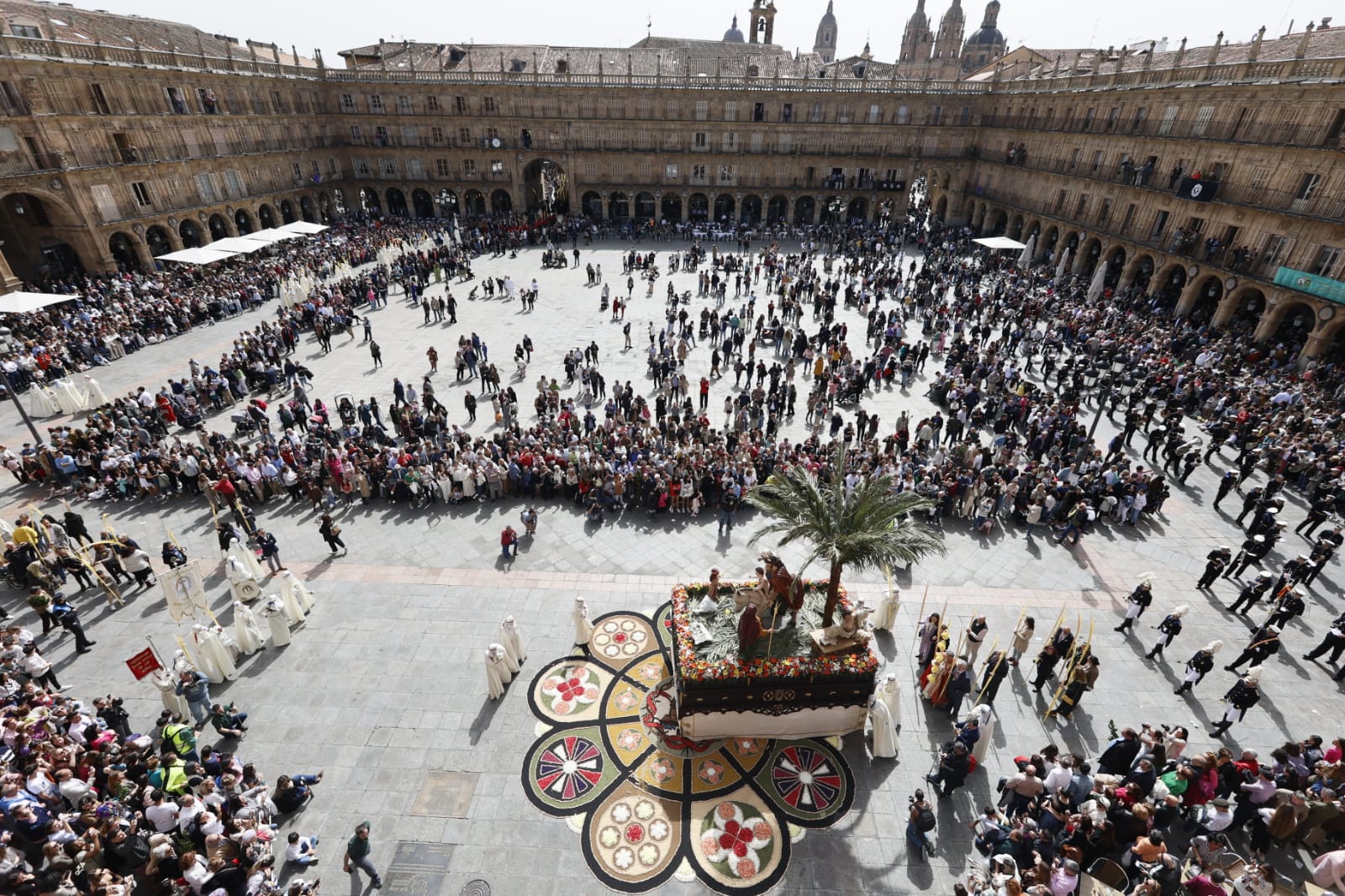 Las mejores imágenes de la procesión de La Borriquilla en Salamanca