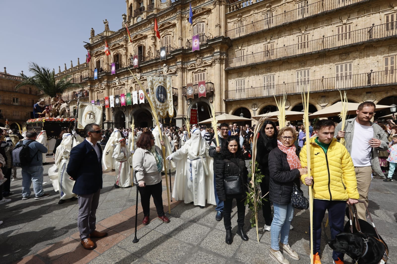 Las mejores imágenes de la procesión de La Borriquilla en Salamanca