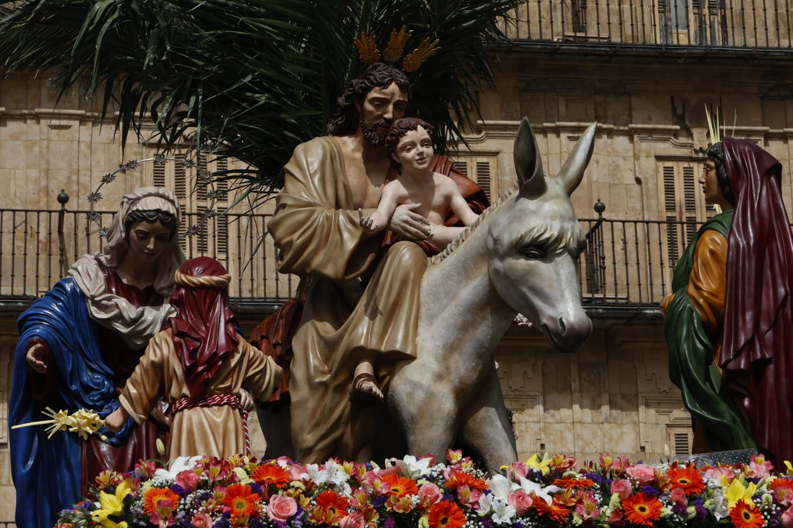 Las mejores imágenes de la procesión de La Borriquilla en Salamanca