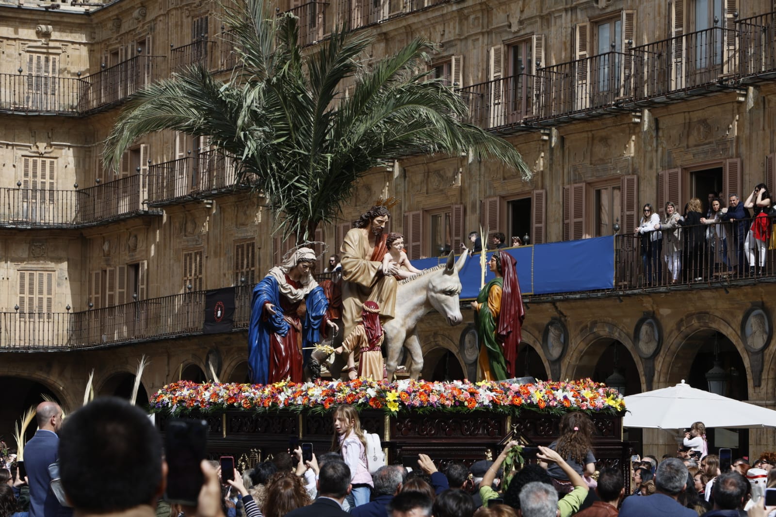 Las mejores imágenes de la procesión de La Borriquilla en Salamanca