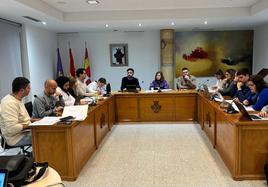 Pleno con la participación de los concejales de Peñaranda.
