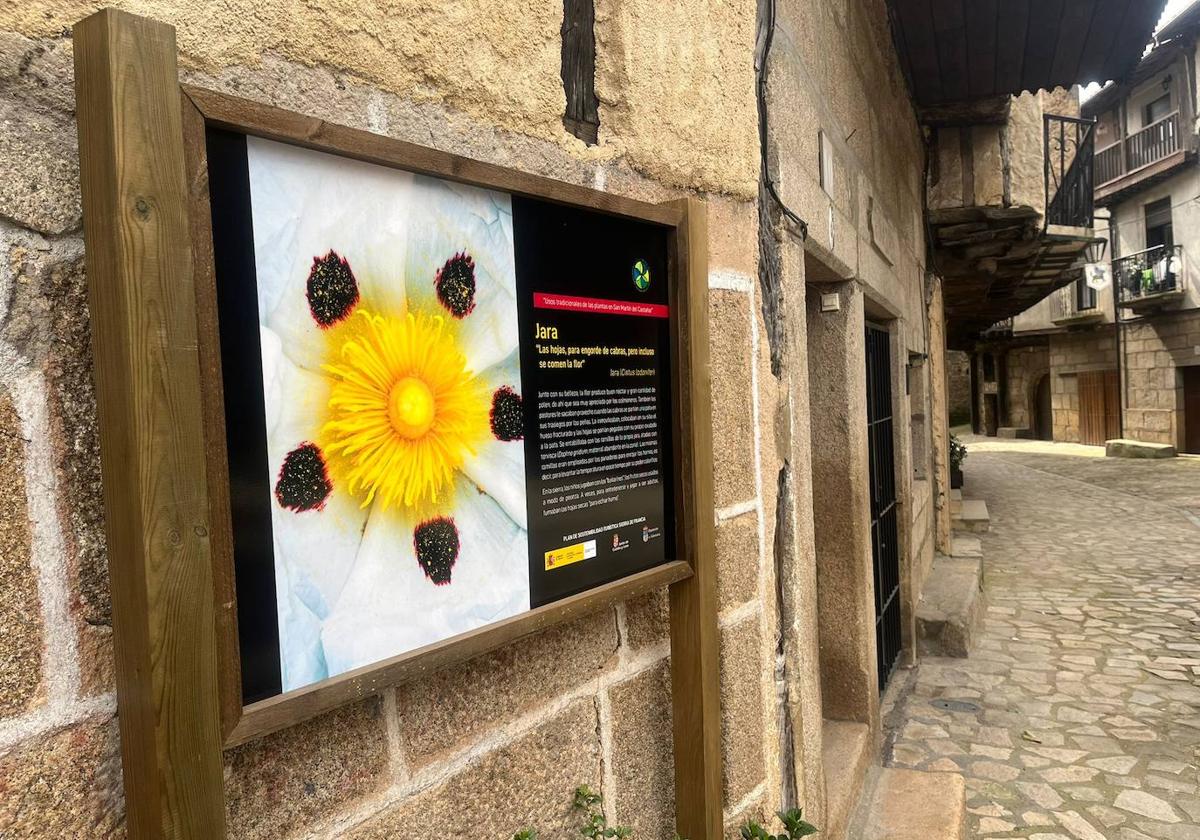 Uno de los carteles explicativos colocados en San Martín del Castañar.