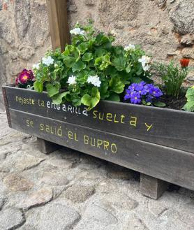 Imagen secundaria 2 - El pueblo salmantino donde podrás aprender de plantas paseando