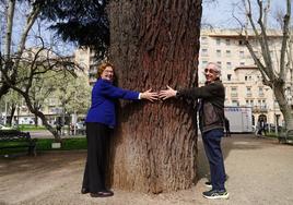 Carmen y Blas demuestran que incluso entre dos personas es casi imposible abarcar con los brazos el tronco del cedro de La Alamedilla.