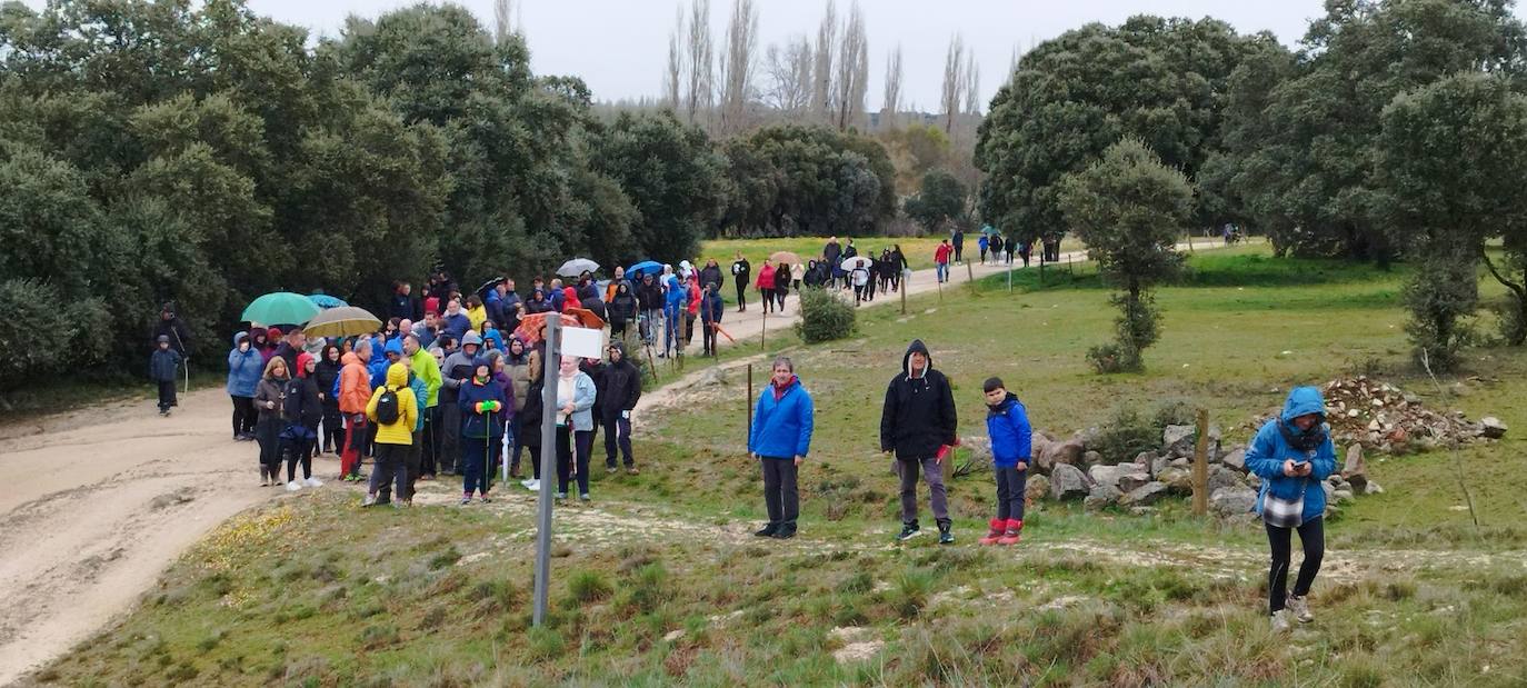 Más de 200 personas participan en la marcha solidaria de Malpartida