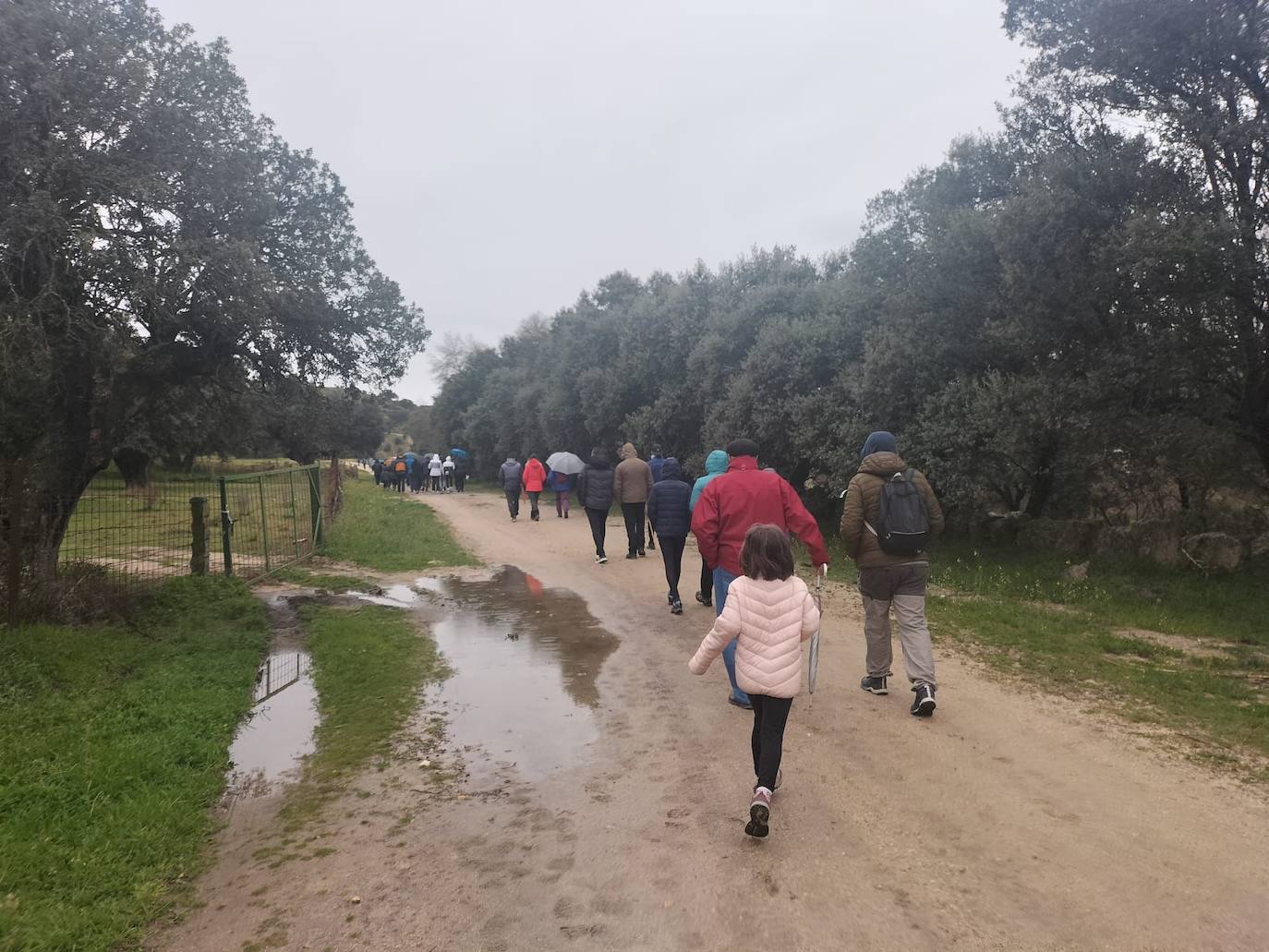 Más de 200 personas participan en la marcha solidaria de Malpartida