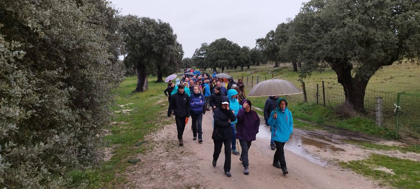 Más de 200 personas participan en la marcha solidaria de Malpartida