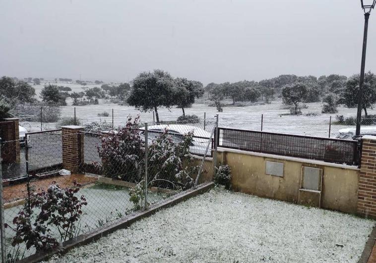 Una imagen de los copos de nieve en Carracal de Barregas.